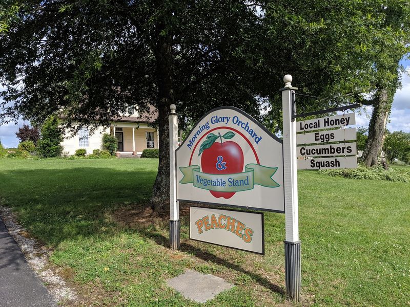 Twin Sisters Keep This Family Farm Growing Strong