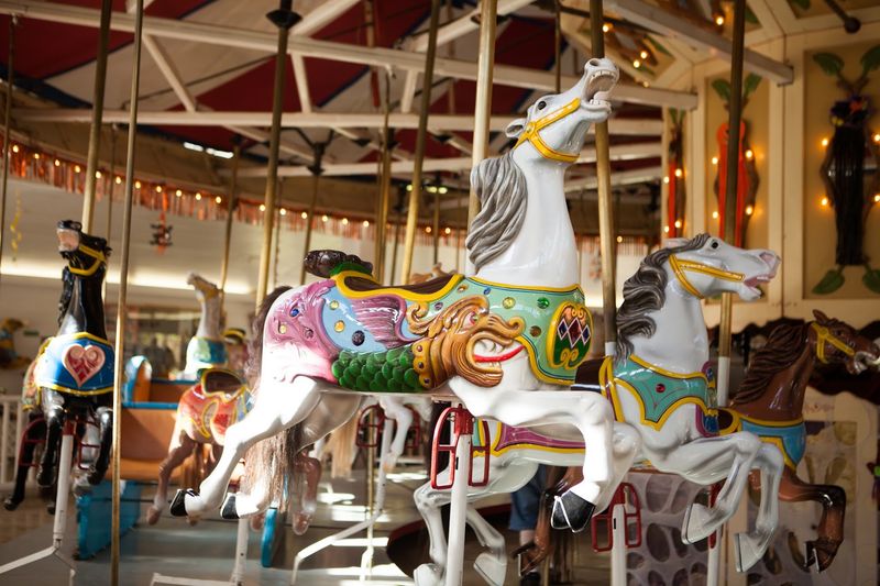 Spin, Soar And Giggle