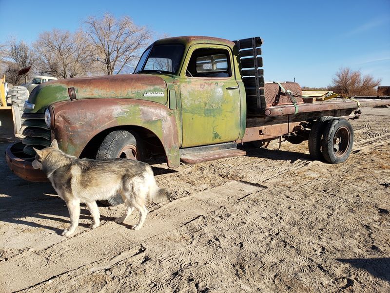 Bring Home Something Old From The Antique Shop