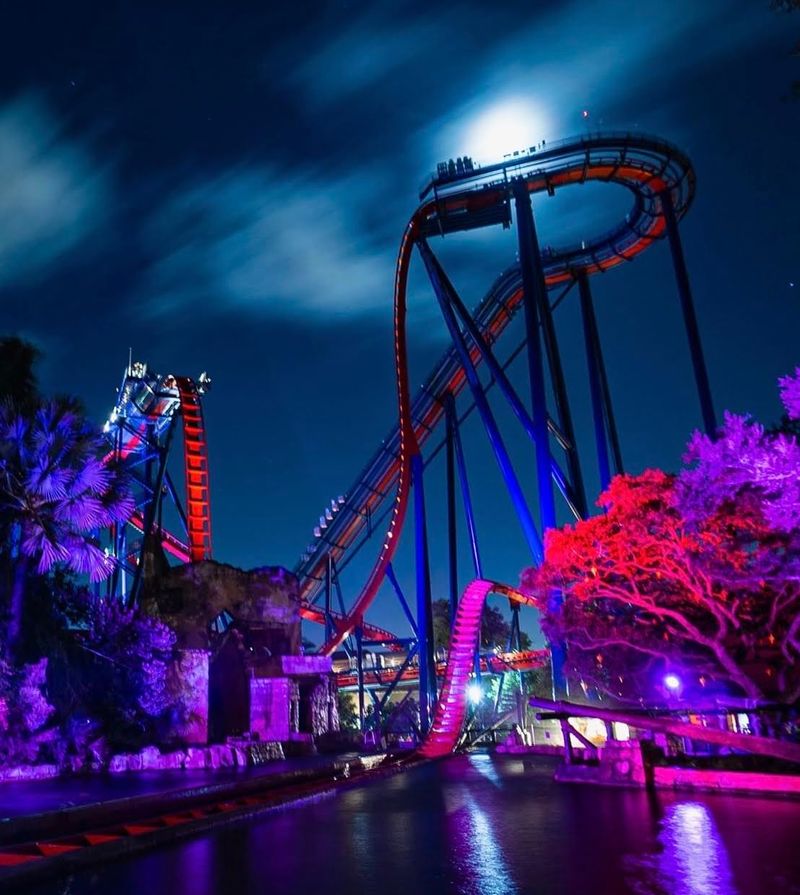 Roller Coasters Under A Moonlit Sky