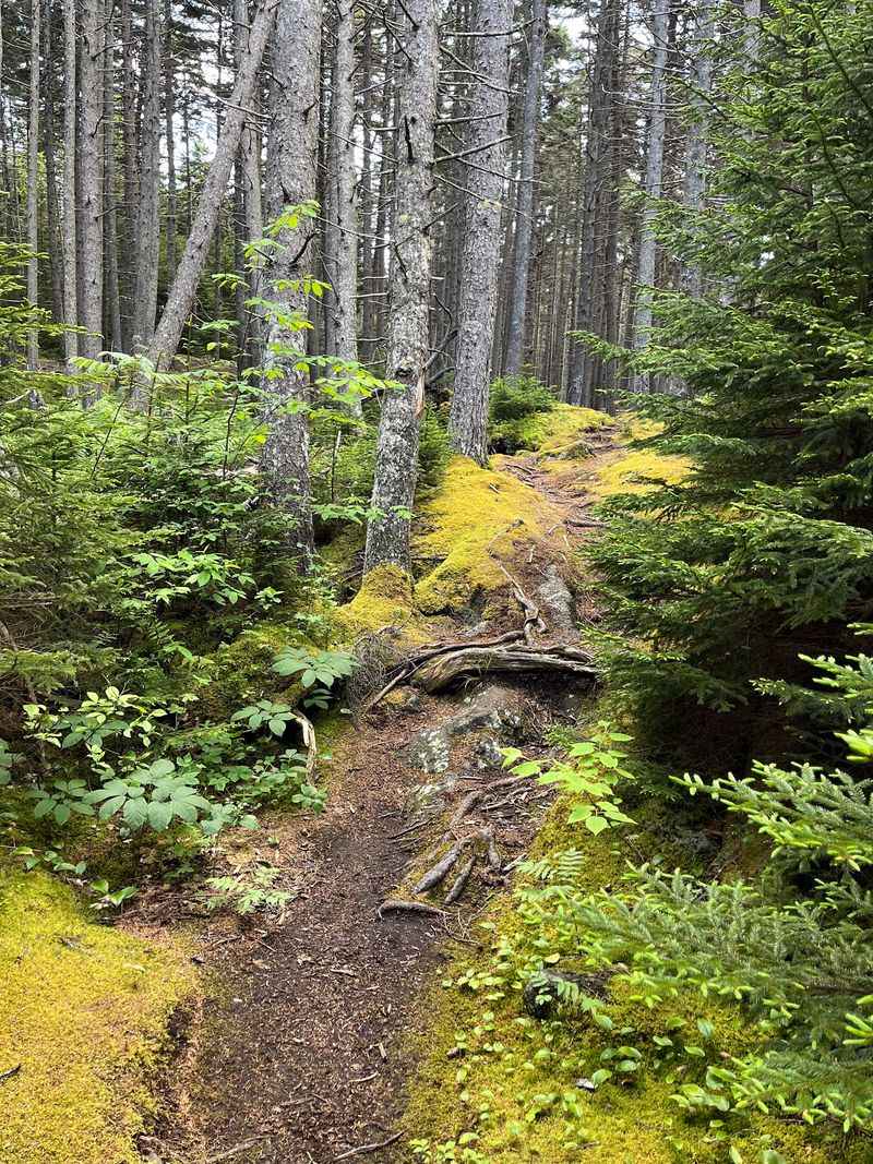 Protecting The Quiet For Future Generations