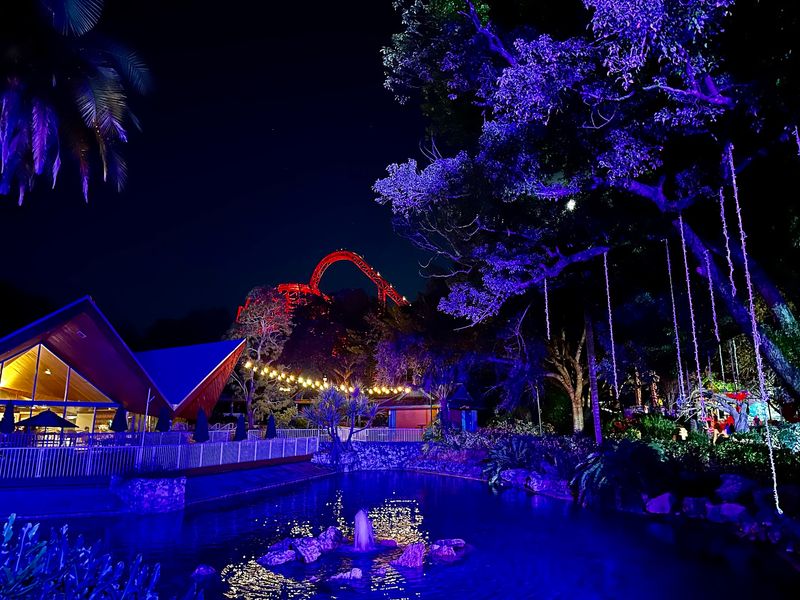 Rules That Keep The Night Running Smoothly