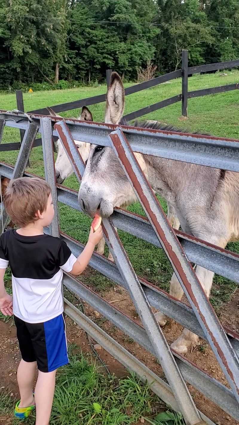 What To Know Before You Head To Chuckey