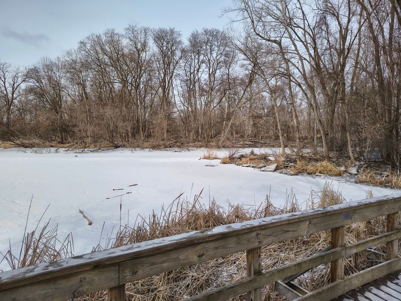 Snowshoes Turn Winter Into Another Reason To Visit