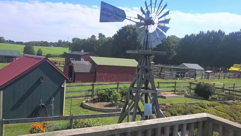 Kettle Corn And Cider Donuts Make Weekends Tastier