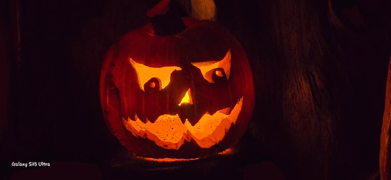 An Adults-Only Night Closes Out The Season