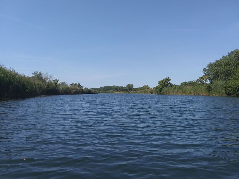 Old Coal Pits Turned Into Prime Wildlife Real Estate
