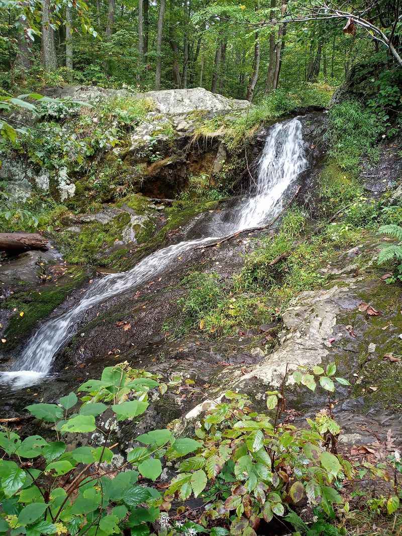 Dark Hollow Falls Makes A Quick Leafy Detour