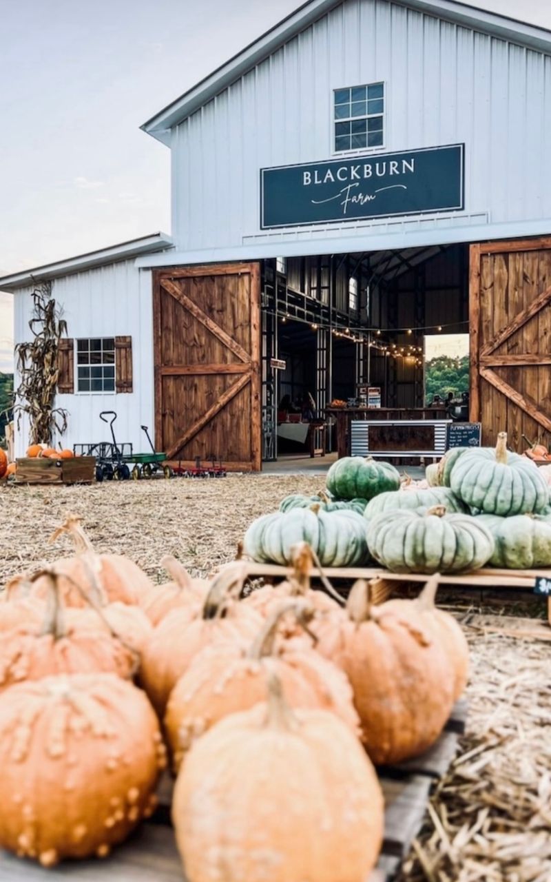 Blackburn Farm