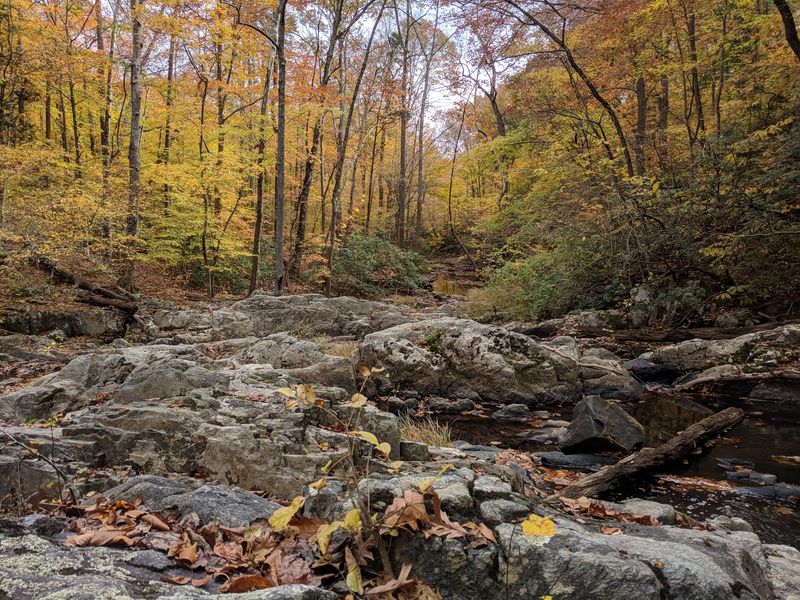 Prince William Forest Park