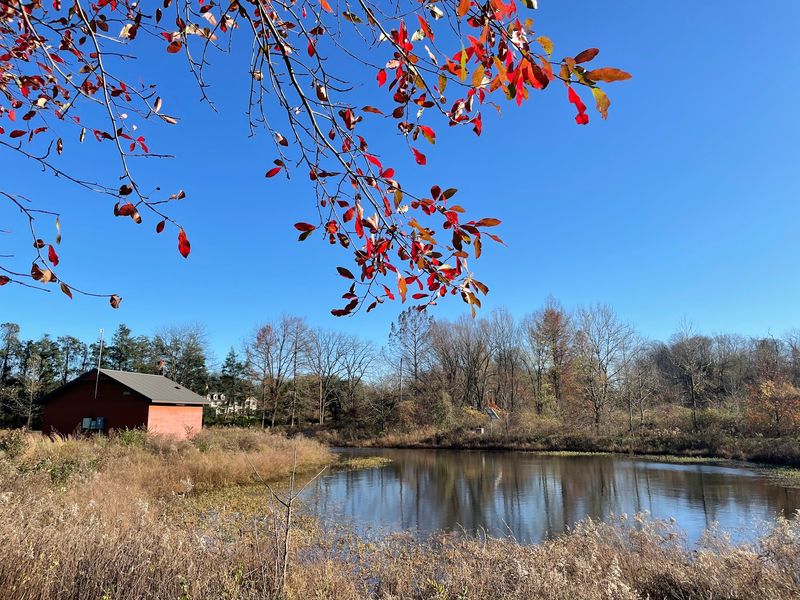 Papermill Park Proves Small Can Be Mighty
