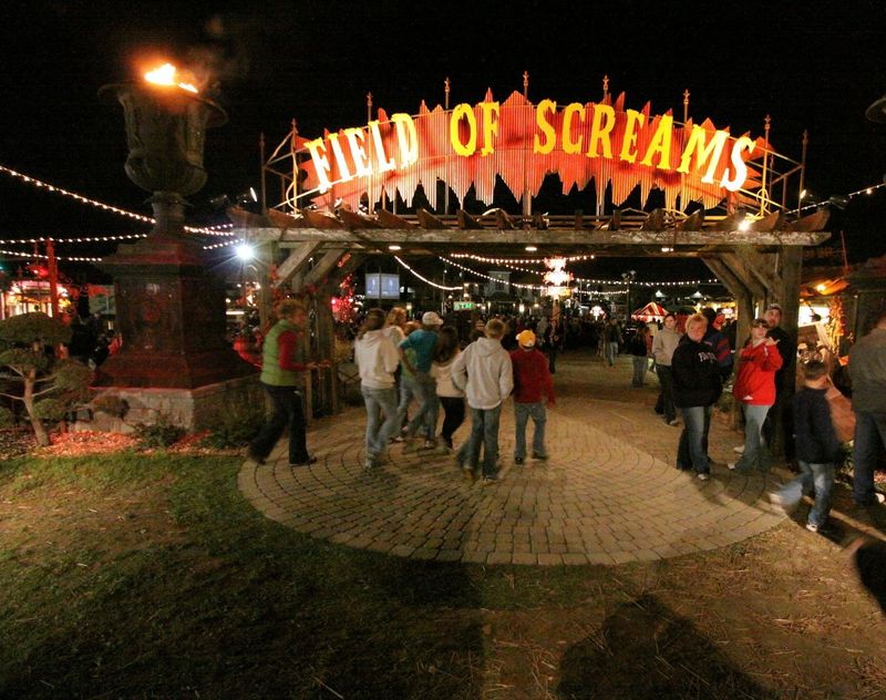 Field Of Screams