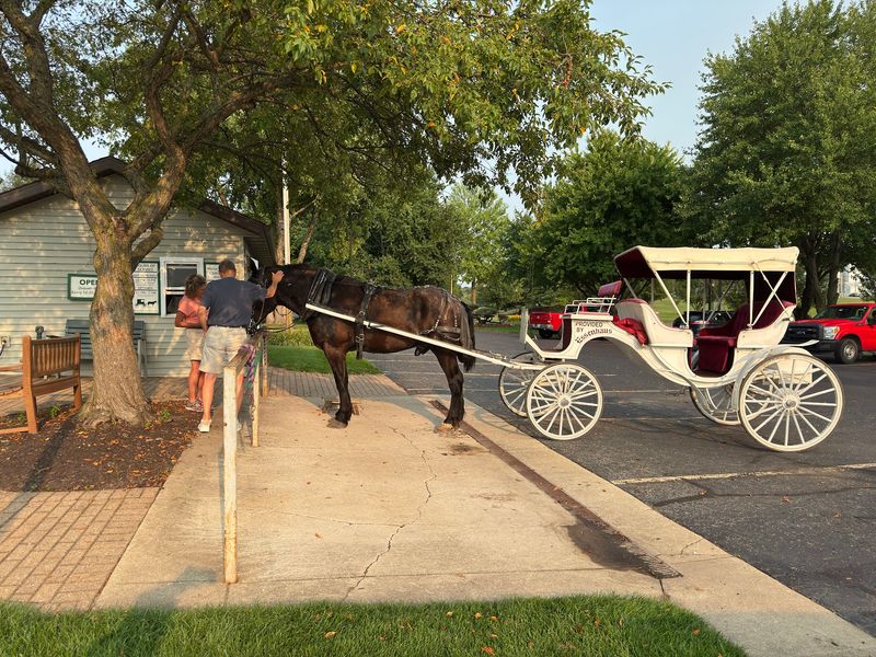 Horse-Drawn Carriage Rides And Mini Golf Bring The Fun Outside