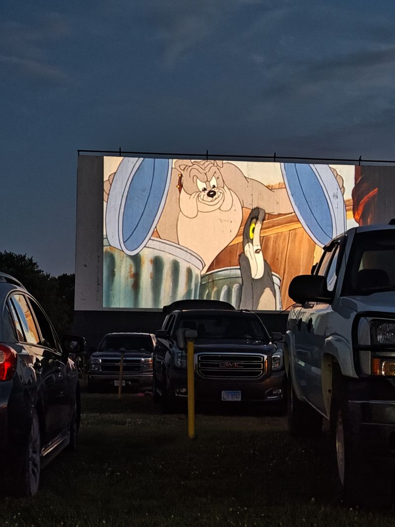Your Dog Is Invited To Movie Night