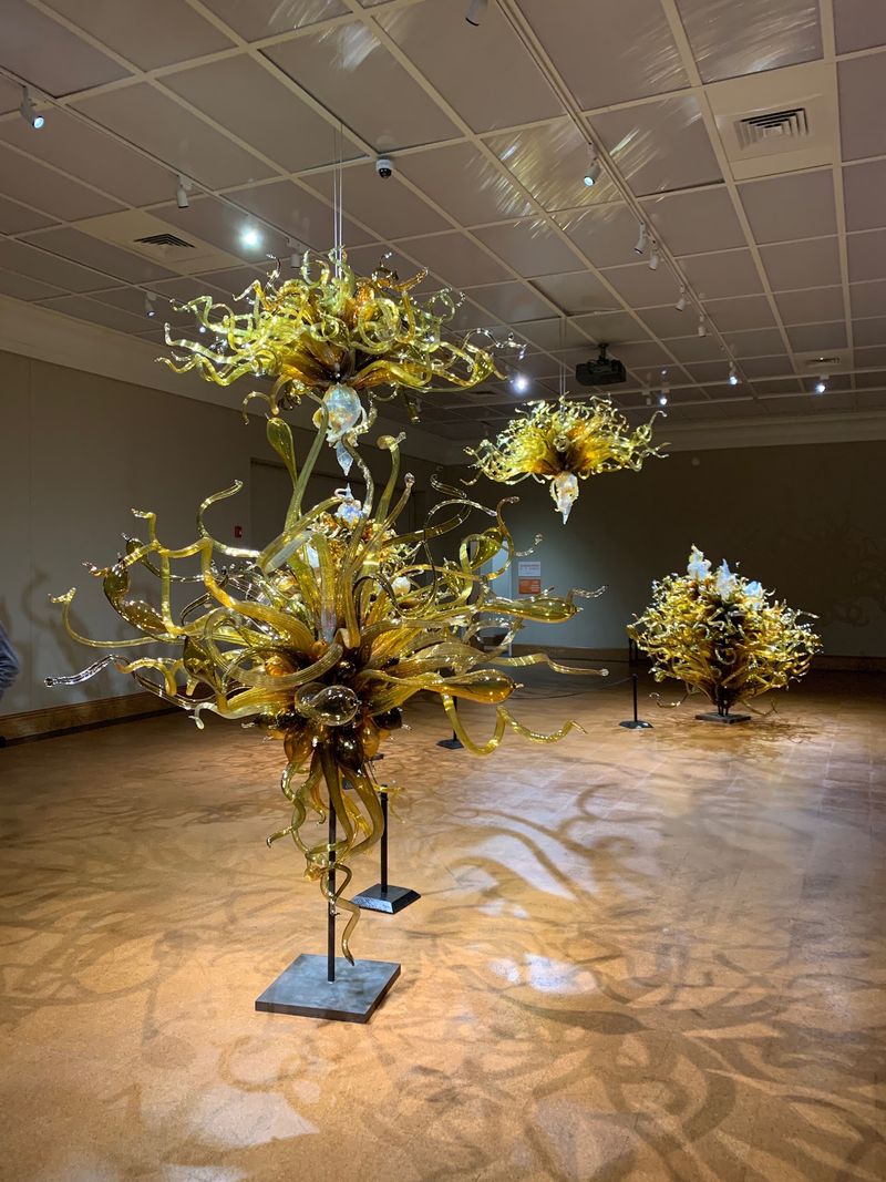 Rotating Exhibits From Van Gogh to Chihuly