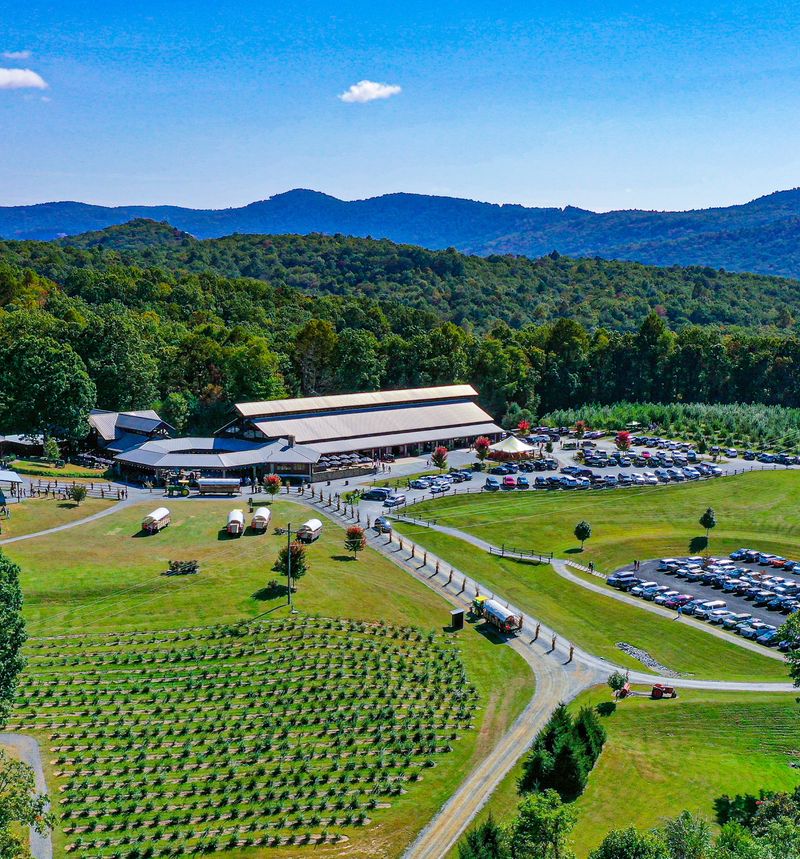 Jeter Mountain Farm Apple Orchard
