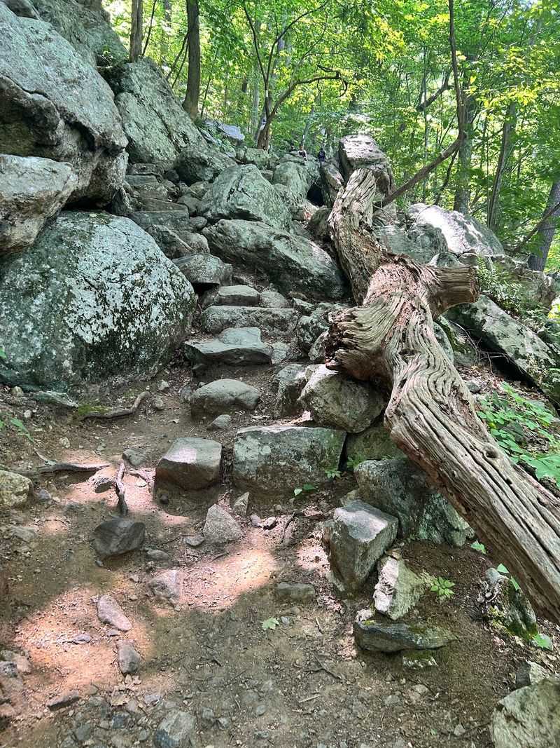 Rocks, Rocks, And Even More Rocks