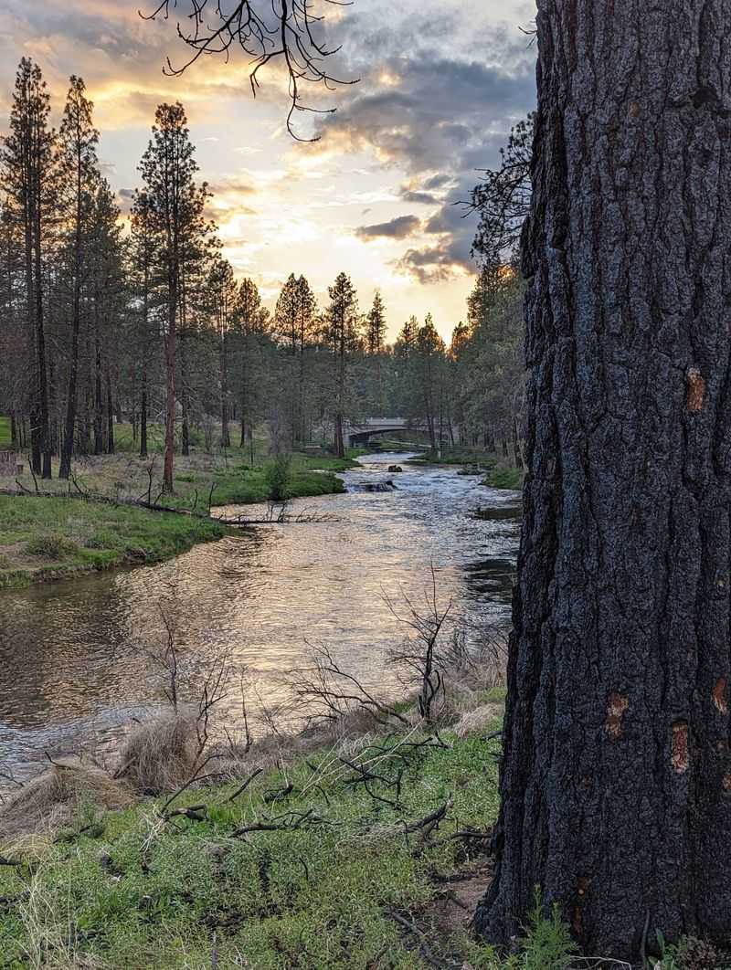 Collier Memorial State Park, Chiloquin, OR