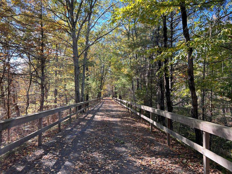 Bridges, A Boardwalk, And A Tunnel Surprise