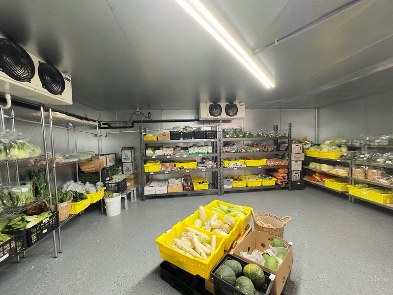 Friday Produce And A Packed Freezer Section