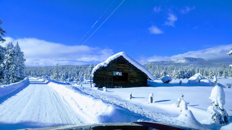 Book A Night At A Lodge Built In 1929