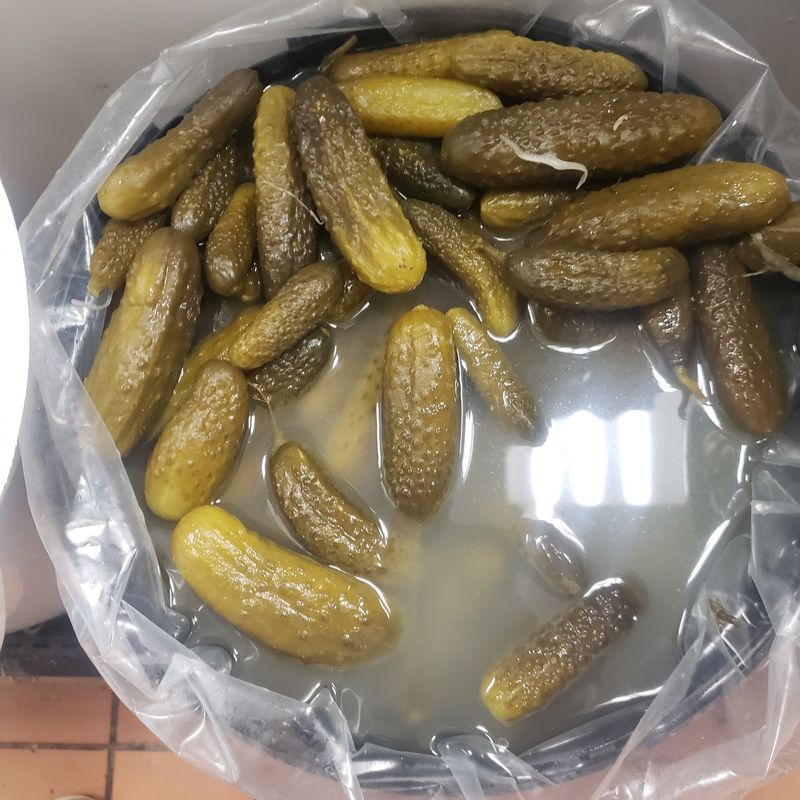 Pickle Barrels and Sauerkraut by the Tong