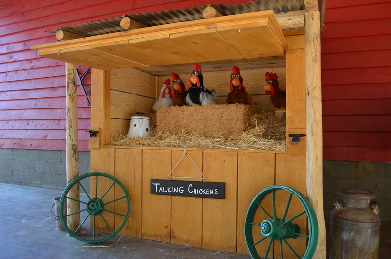 Copper Creek Farm