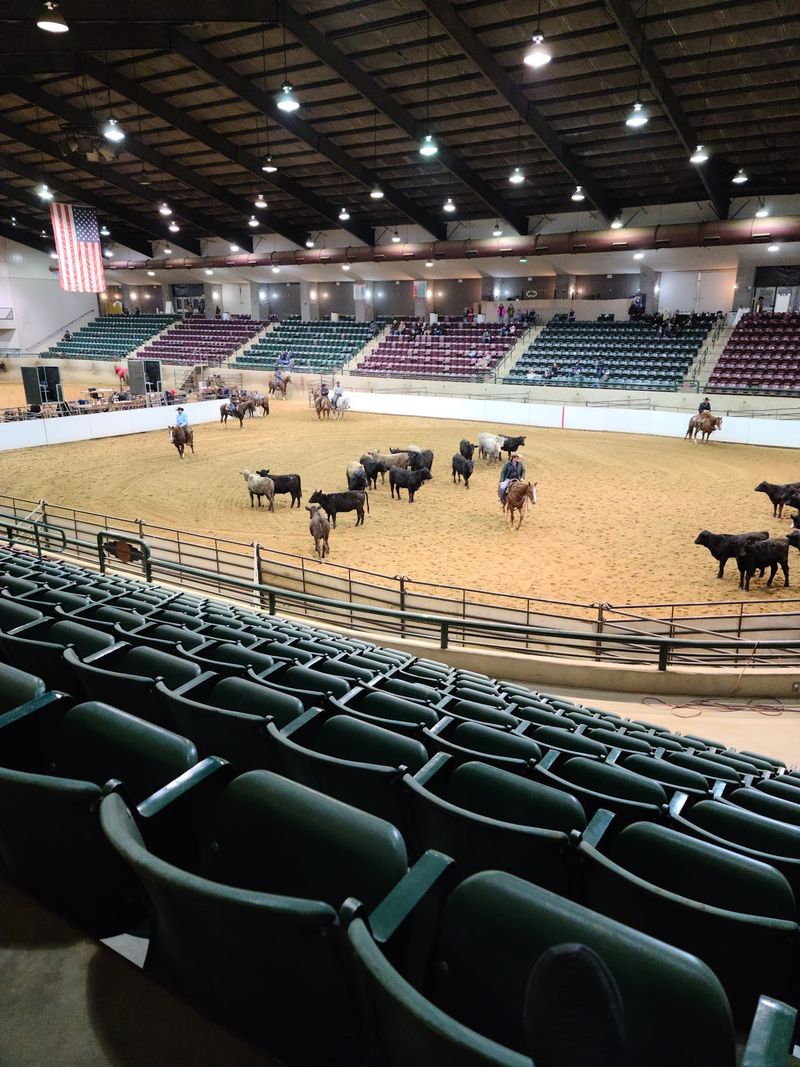 Freestyle Bullfighting and Its Clown Roots