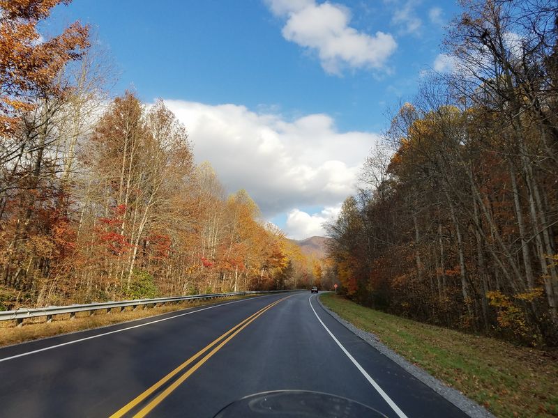 Trails Waiting In The Cherokee National Forest