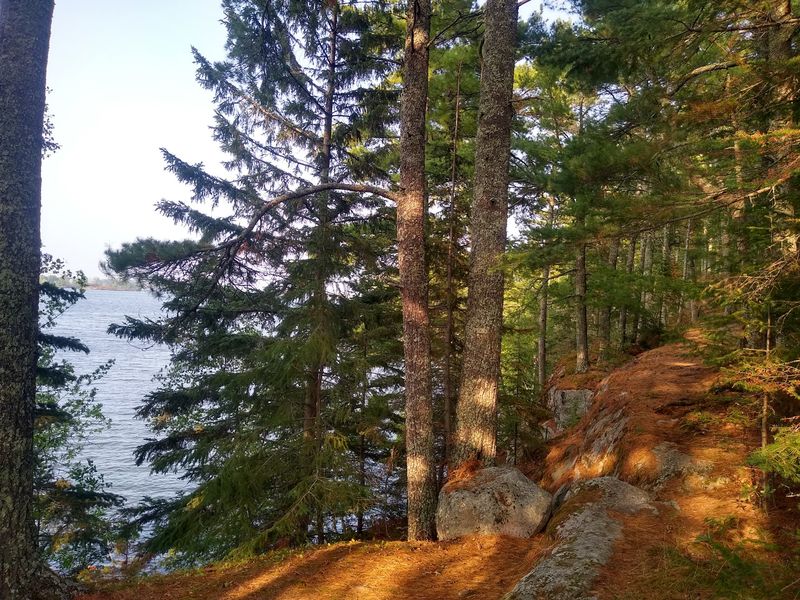 Trails Through The North Woods