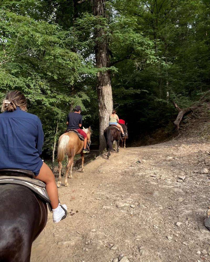 Climbing Toward Big Smoky Mountain Views