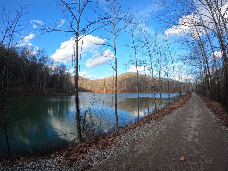 Seasons, Pawpaws, and Mosquitoes on the Trail