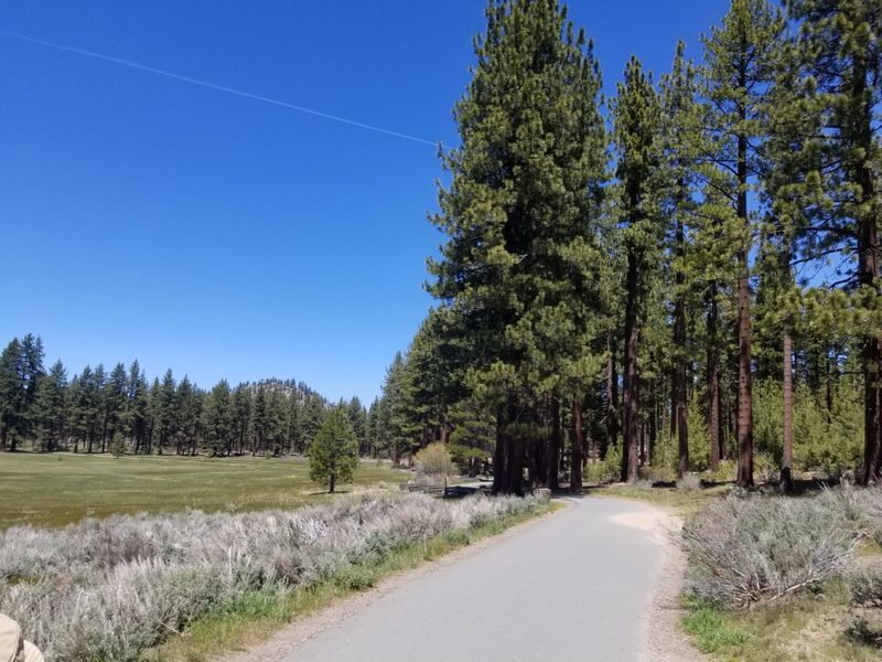 Lam Watah Nature Trail To Nevada Beach