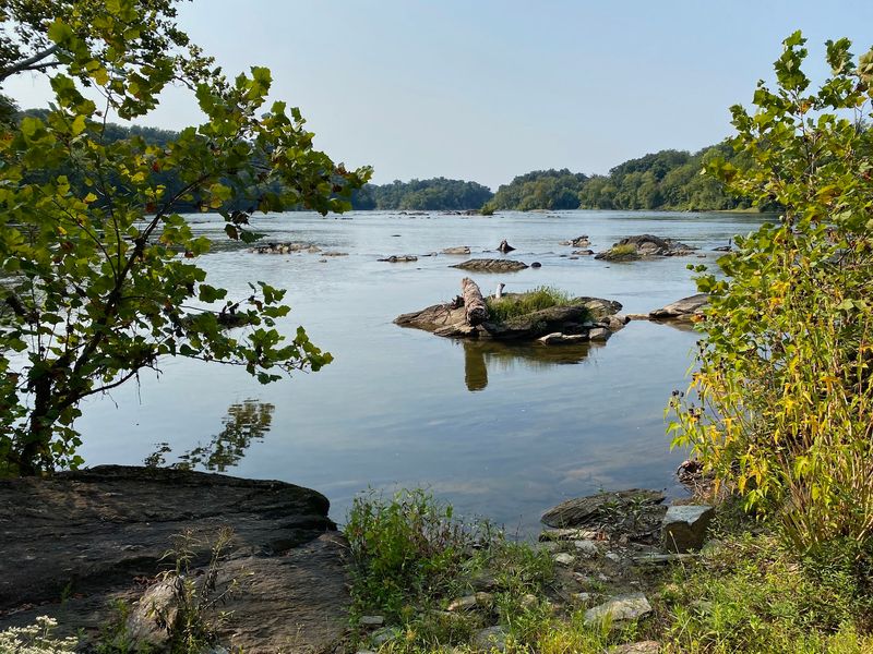 River Overlooks Turn A Forest Walk Into A Scenic Show