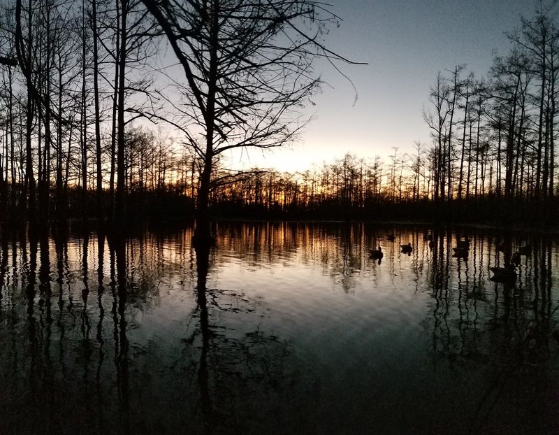 Mathews Brake National Wildlife Refuge