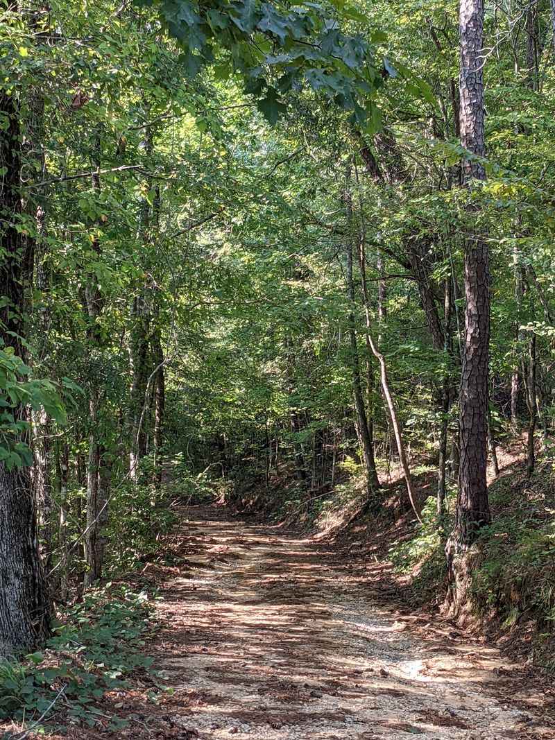 Trails Along The Chunky River