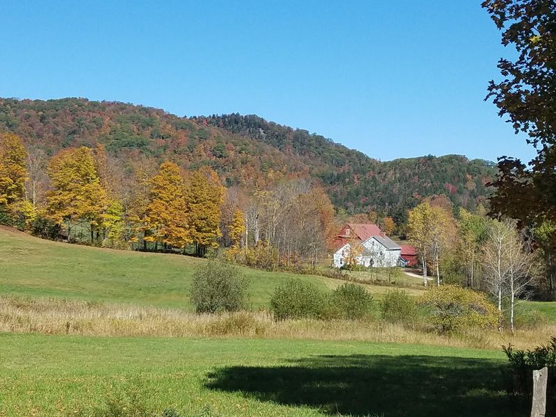 Foliage, Family Roots, And Smart Planning