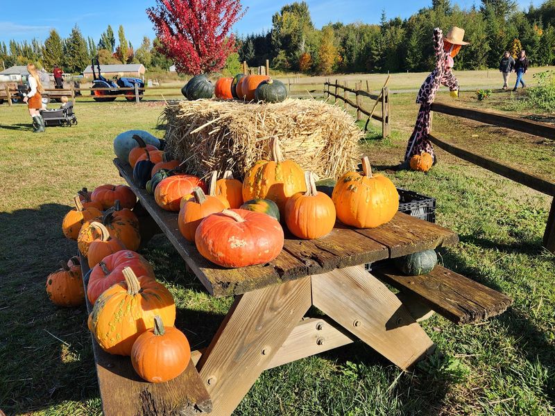 Farm Tours Show What Happens Beyond The Orchard Rows