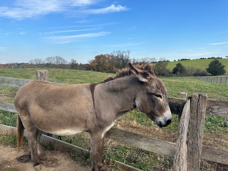 Seven Generations Have Kept This Farm Growing Since 1797