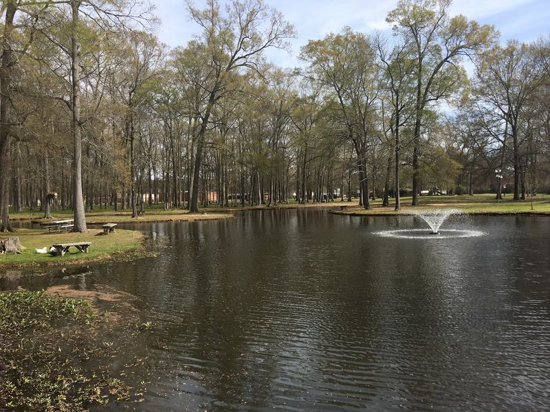 Bright Park, Pearl, MS