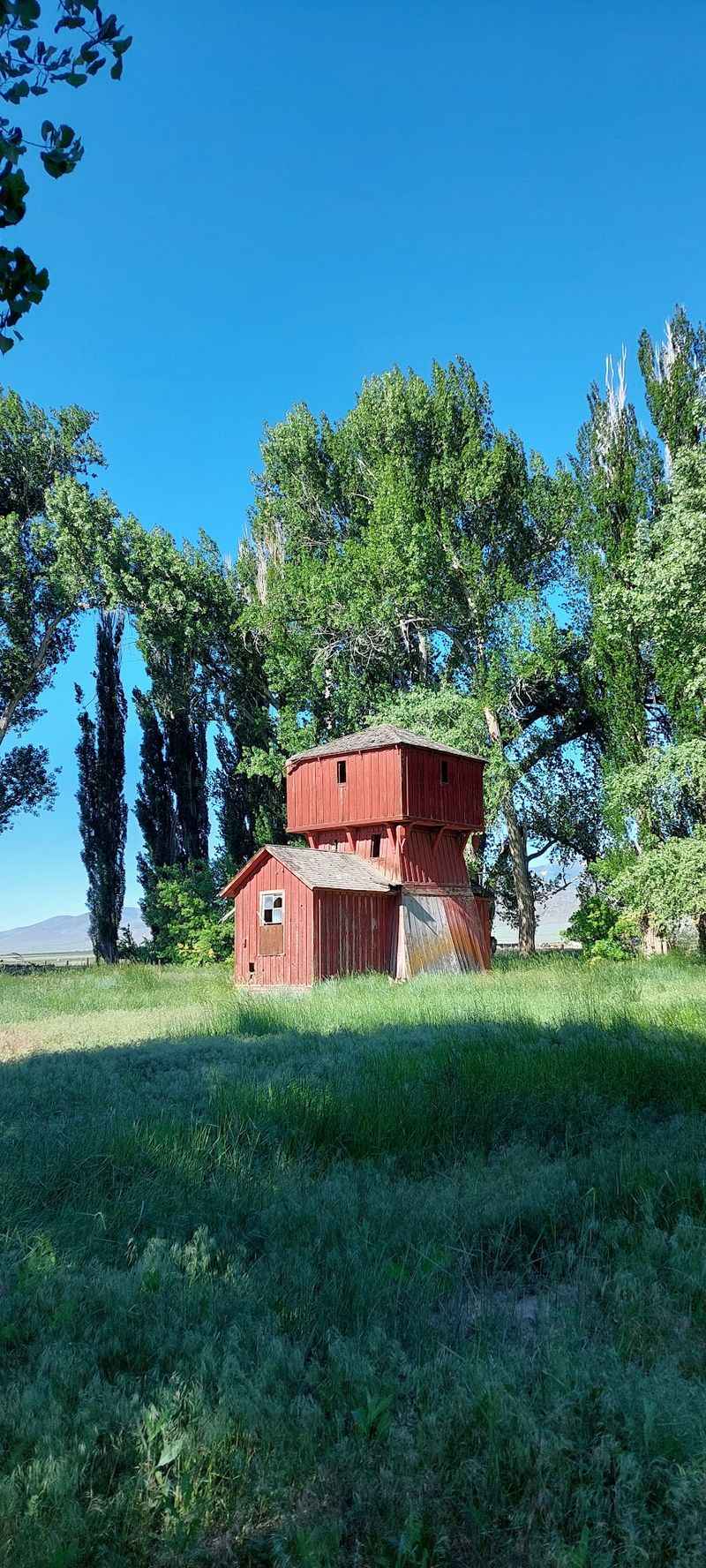 Italian Settlers Left Their Mark On The Old Buildings