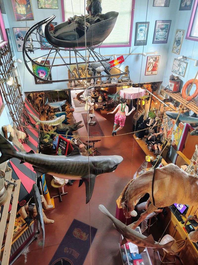 Mannequins, Swings, And A Lot To Look At