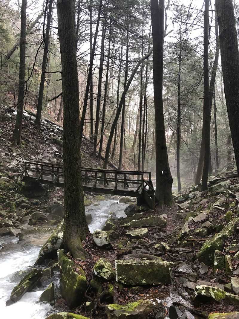 Fiery Gizzard Recreation Area