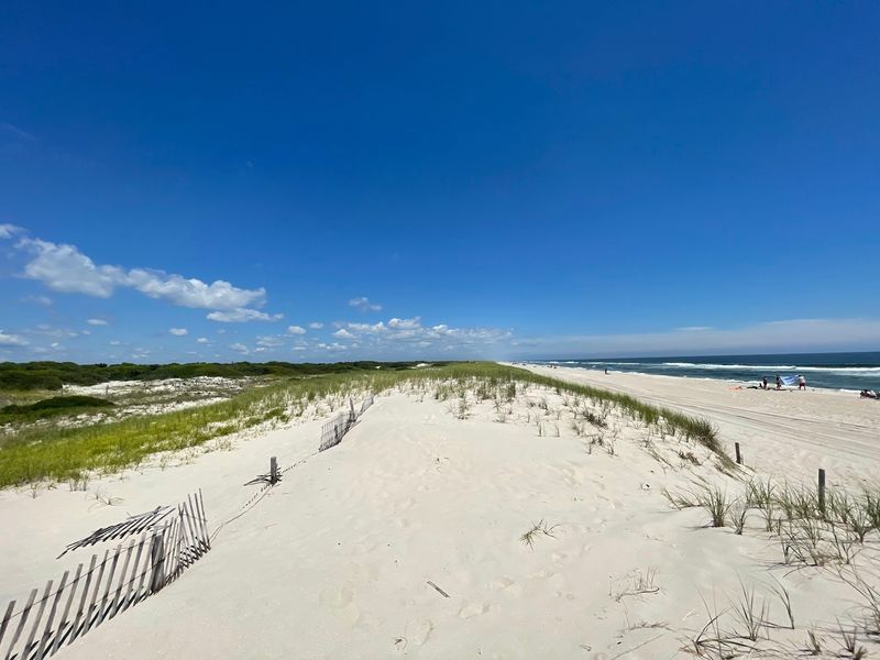 Short Trails Through Dunes And Maritime Forest
