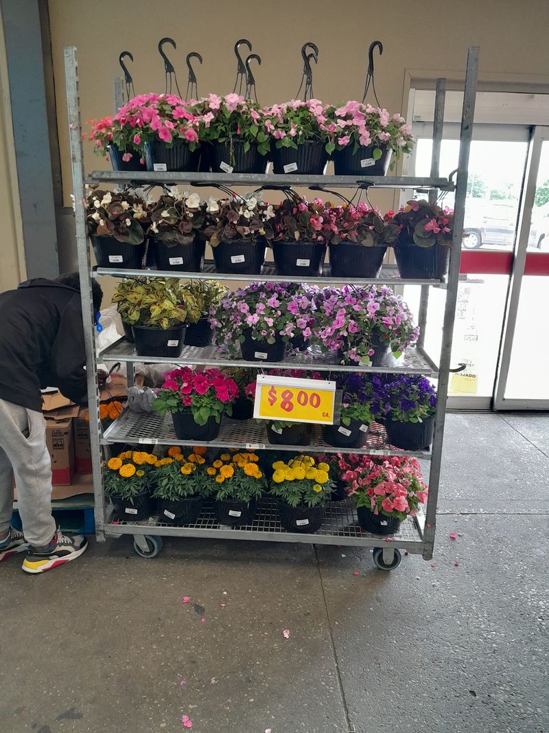 Pallets Instead of Perfect Shelves Equals Real Savings