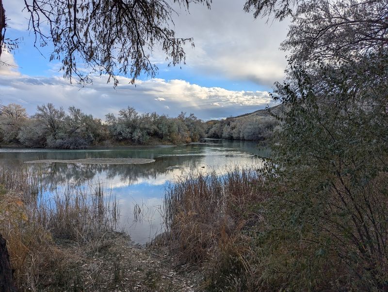 Wild Rye, Wagon Trails, And A Ghost Town