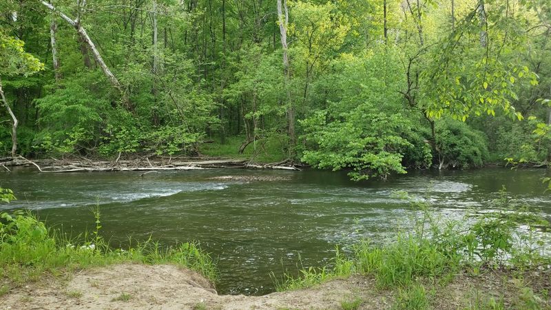 Cooling Off in the Shallow River