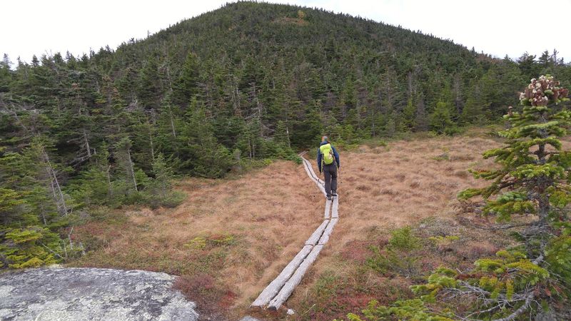 Baldpate Mountain Trail