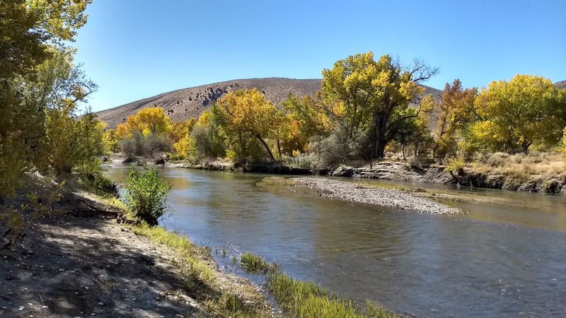 Carson River Park