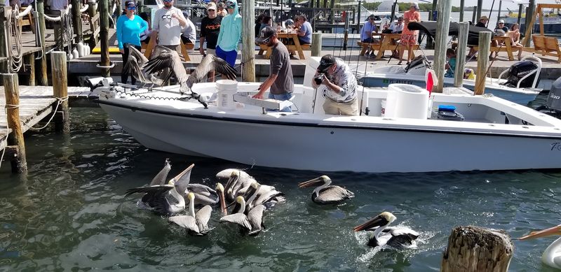 Bounced Back After Hurricane Helene With Plenty Of Help